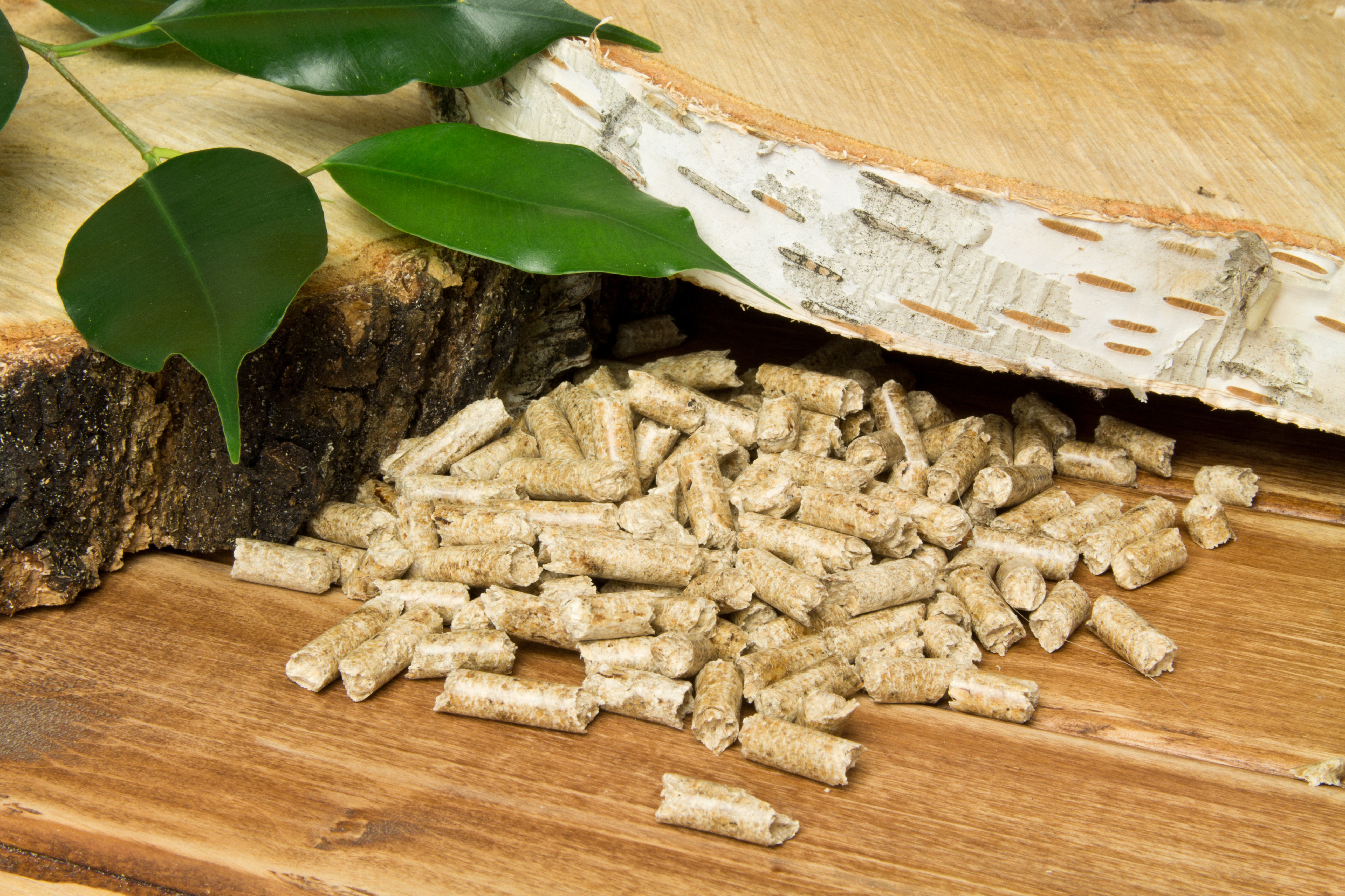 Holzpellets als Alternative